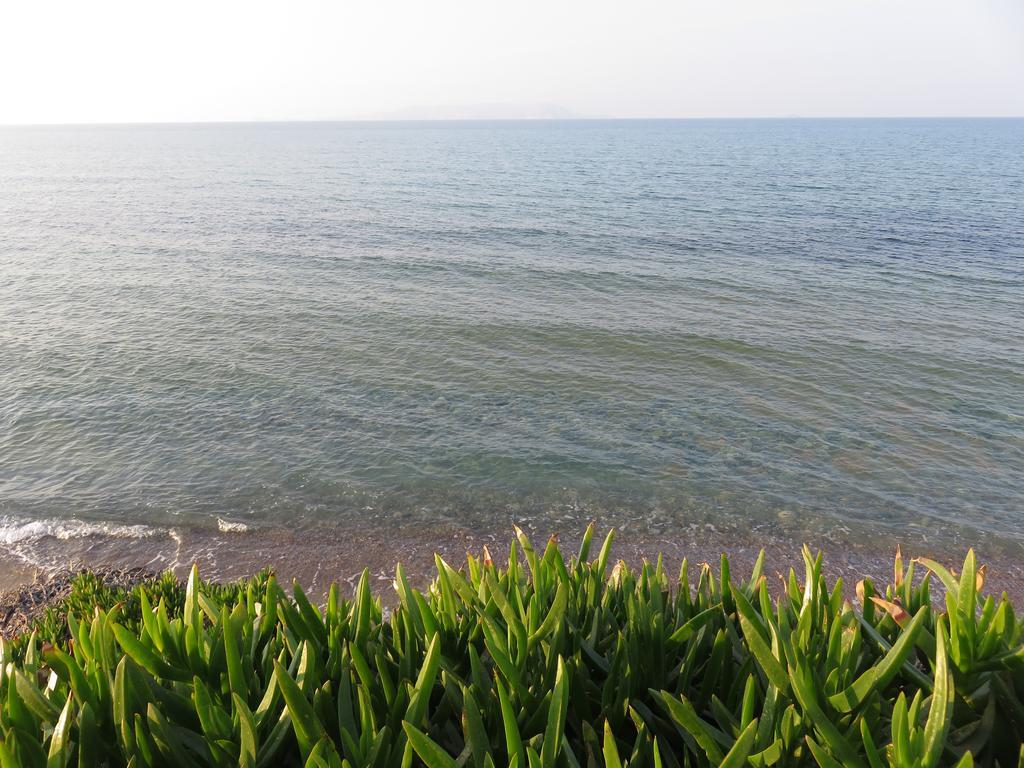 公寓 Frosso's Sea