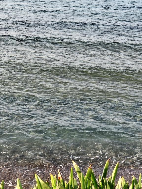 Frosso's Sea Διαμέρισμα *